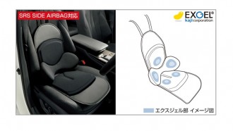 Toyota Raize Genuine Accessory Lamber Support Cushion (General Purpose Type) For Driver's Seat